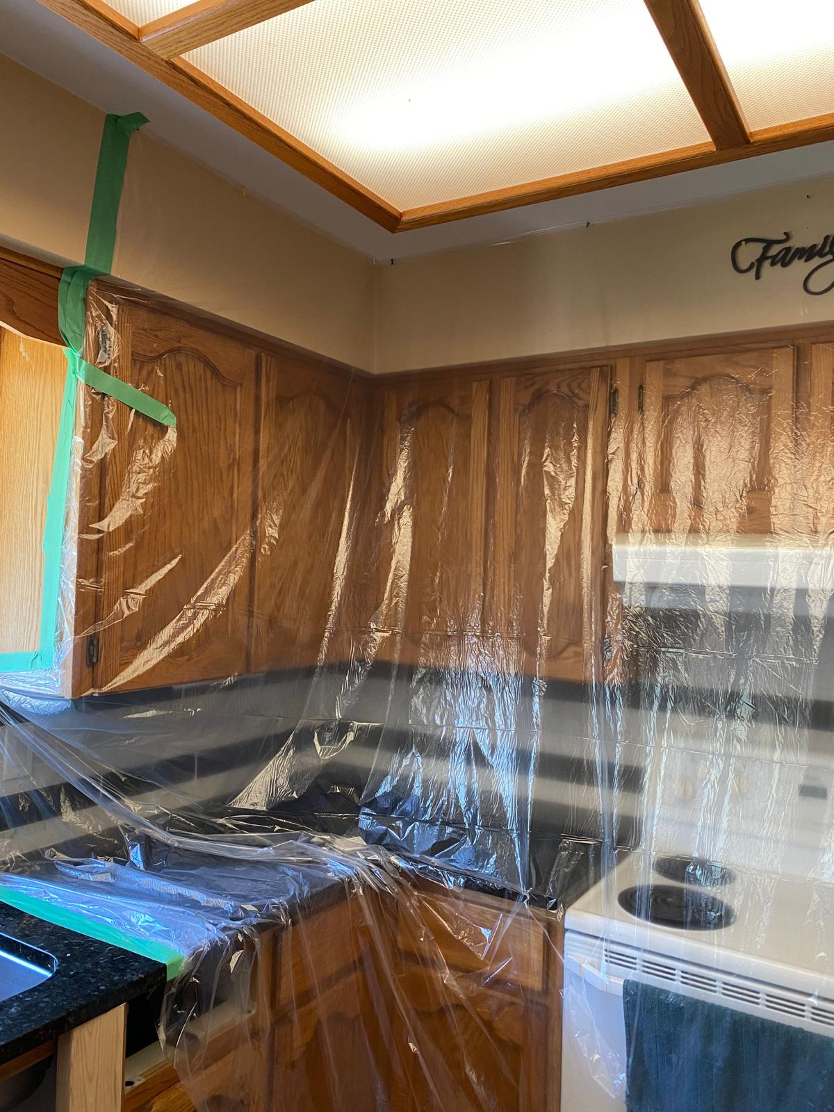 Mold Remediation
